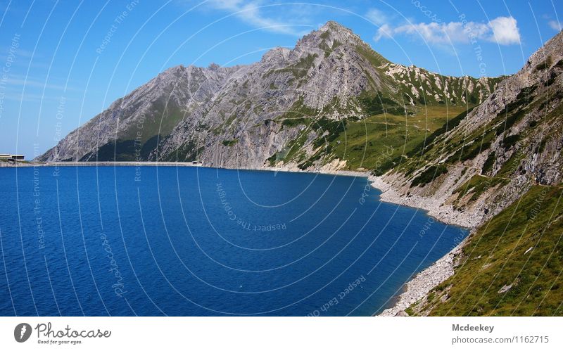 Uferrundweg Umwelt Natur Landschaft Pflanze Wasser Himmel Wolken Sommer Schönes Wetter Wärme Blume Gras Sträucher Alpen Berge u. Gebirge Gipfel Seeufer