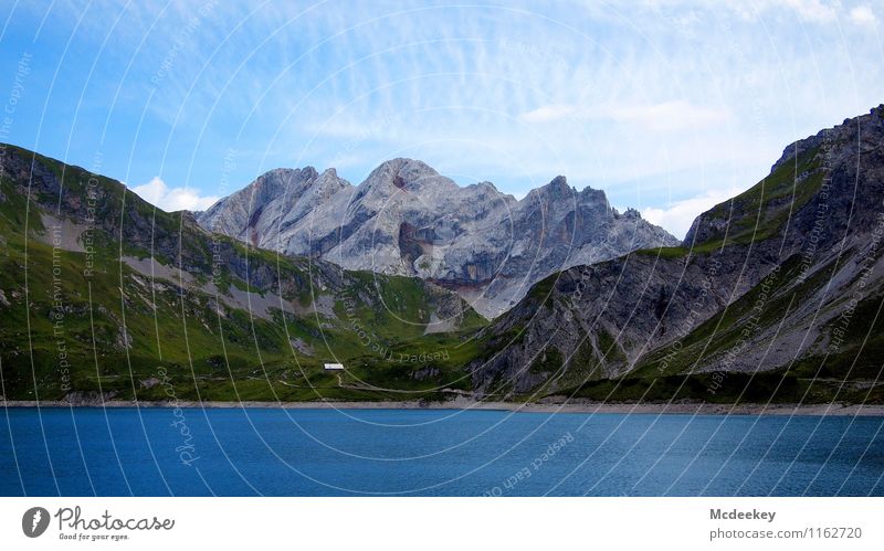 Der heilige Gral Umwelt Natur Landschaft Pflanze Wasser Himmel Wolken Sommer Schönes Wetter Blume Gras Sträucher Alpen Berge u. Gebirge Gipfel Seeufer frisch