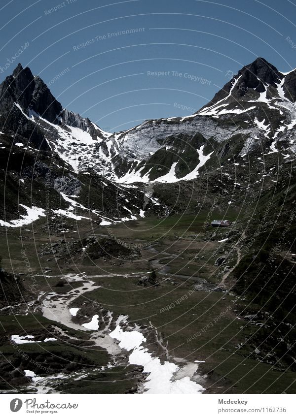 Gesteinswellen Umwelt Natur Landschaft Himmel Wolkenloser Himmel Sommer Schönes Wetter Pflanze Baum Blume Gras Sträucher Felsen Alpen Berge u. Gebirge Gipfel