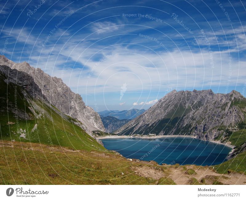 Seeidylle Umwelt Natur Landschaft Pflanze Wasser Himmel Wolken Sonne Sommer Schönes Wetter Wärme Gras Sträucher Grünpflanze Wildpflanze Wiese Alpen