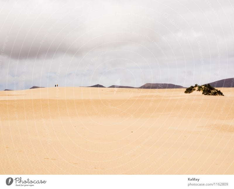 Endlose Weite Mensch 2 Natur Landschaft Sand Wolken Dürre Berge u. Gebirge Strand Düne wandern Bekanntheit gigantisch natürlich gelb gold Kraft Vertrauen