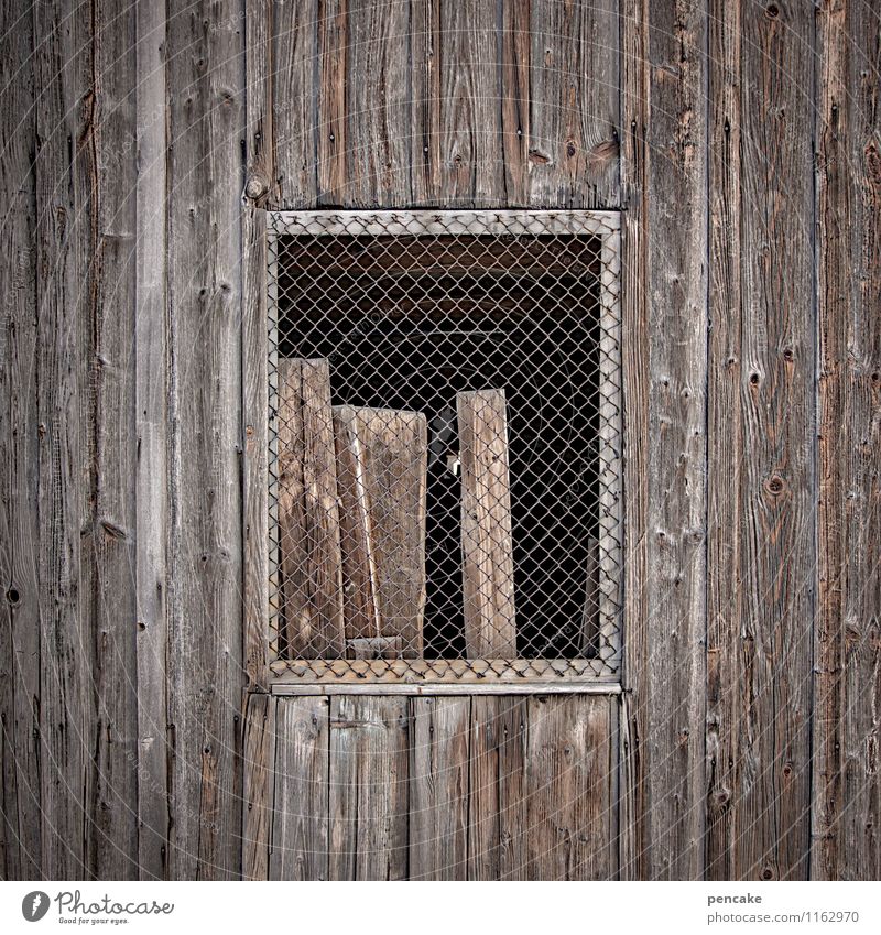 ausgangssperre Hütte Fenster Holz Balken Maschendraht Holzfassade Holzhütte warten gefangen anlehnen ruhig Farbfoto Gedeckte Farben Außenaufnahme Nahaufnahme