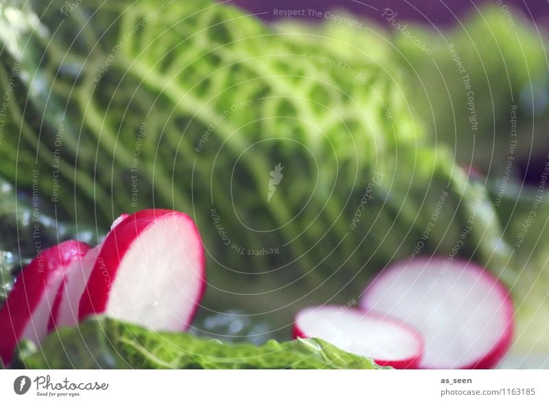 Vitamine! Lebensmittel Gemüse Salat Salatbeilage Radieschen Ernährung Essen Büffet Brunch Bioprodukte Vegetarische Ernährung Diät Fasten Lifestyle Gesundheit