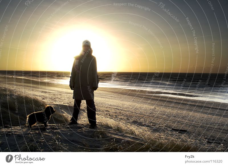 Nordsee Meer Strand Winter Herbst Hund HDR Frau Wellen Küste Sonnenuntergang Mensch Dänemark Wasser Sand Himmel