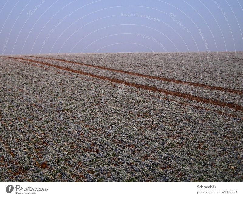 Reifenspuren im Feld Ferne ländlich Maschine kalt leer 2 Horizont Unendlichkeit Landschaft Winter Himmel auf dem Land Spuren Pflanze Natur Raureif Langeweile