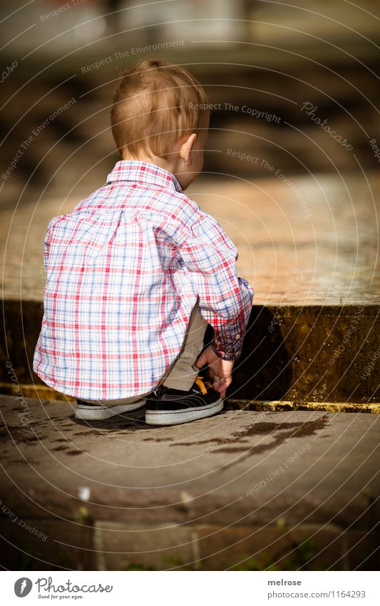 konzentriert Kleinkind Junge Kindheit Körper Kopf Rücken Arme Finger Beine Fuß 1 Mensch 1-3 Jahre Wasser Frühling Hemd Jeanshose Turnschuh Springbrunnen