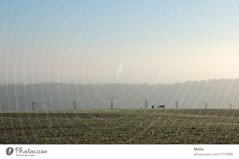 Ruheplatz Panorama (Aussicht) Baum Baumreihe Ferne ruhig Luft atmen frisch Winter Gras Wiese Papierkorb Müllbehälter Wald Setzling Nebel Hochnebel kalt leer