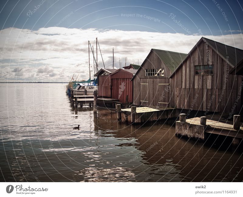 Saaler Bodden Ferien & Urlaub & Reisen Umwelt Wasser Himmel Horizont Schönes Wetter Ostsee Althagen Ahrenshoop Fischerdorf bevölkert Haus Gebäude