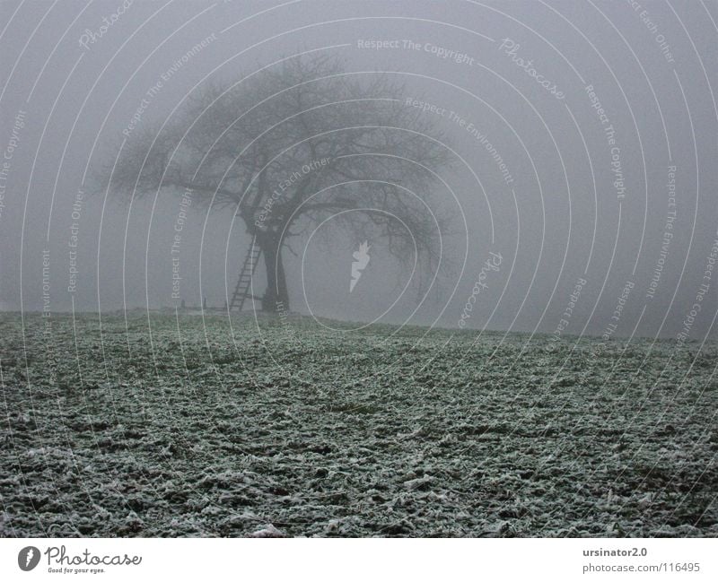 Der Baum 2 Feld Wiese Schnee Landschaft Natur Landwirtschaft Einsamkeit kalt Winter Monochrom Trauer Verzweiflung ursinator2.0 Traurigkeit