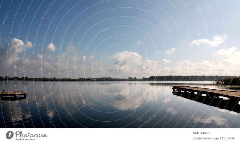 ort der stille Ferien & Urlaub & Reisen Ausflug Ferne Freiheit Sommerurlaub Natur Himmel Wolken Frühling Schönes Wetter Seeufer Schwimmen & Baden Erholung