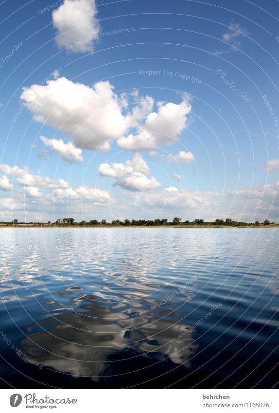 heiter bis wolkig Ferien & Urlaub & Reisen Tourismus Ausflug Abenteuer Ferne Freiheit Sommerurlaub Natur Landschaft Himmel Wolken Frühling Baum Wellen Küste