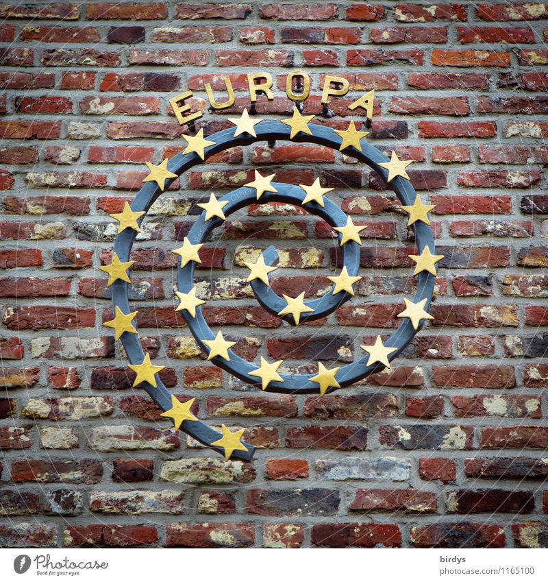 Europa Mauer Wand Backsteinwand Spirale Stern (Symbol) Stein Metall Zeichen Schriftzeichen Eurozeichen ästhetisch authentisch elegant positiv rund selbstbewußt