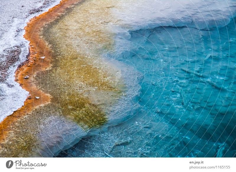 Das Leben ist bunt Ferien & Urlaub & Reisen Tourismus Umwelt Natur Landschaft Tier Urelemente Wasser Vulkan Heisse Quellen Geothermik Bakterien außergewöhnlich