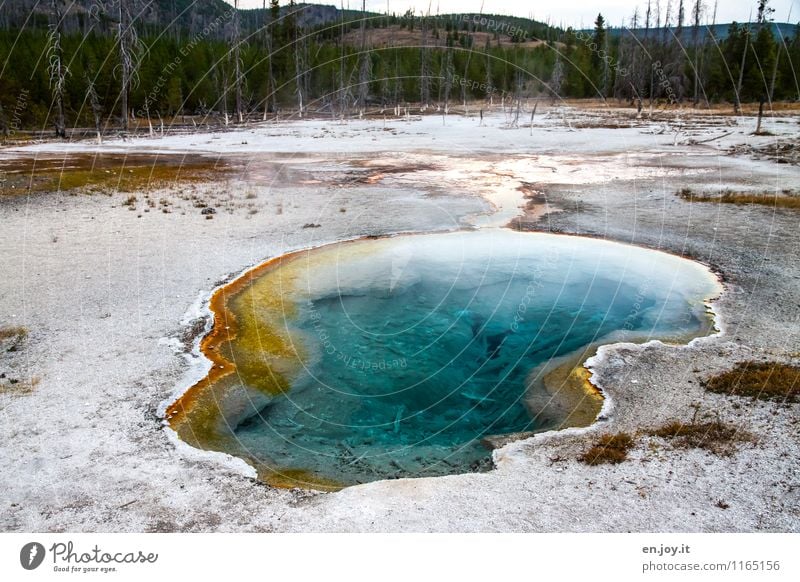 heated pool Ferien & Urlaub & Reisen Tourismus Abenteuer Sommerurlaub Natur Landschaft Wald Hügel Heisse Quellen außergewöhnlich fantastisch heiß blau bizarr