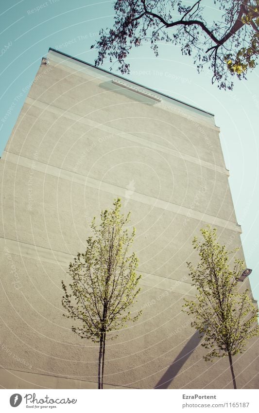 Block Design Häusliches Leben Wohnung Haus Umwelt Himmel Wolkenloser Himmel Frühling Sommer Wetter Pflanze Baum Bauwerk Gebäude Architektur Mauer Wand Fassade