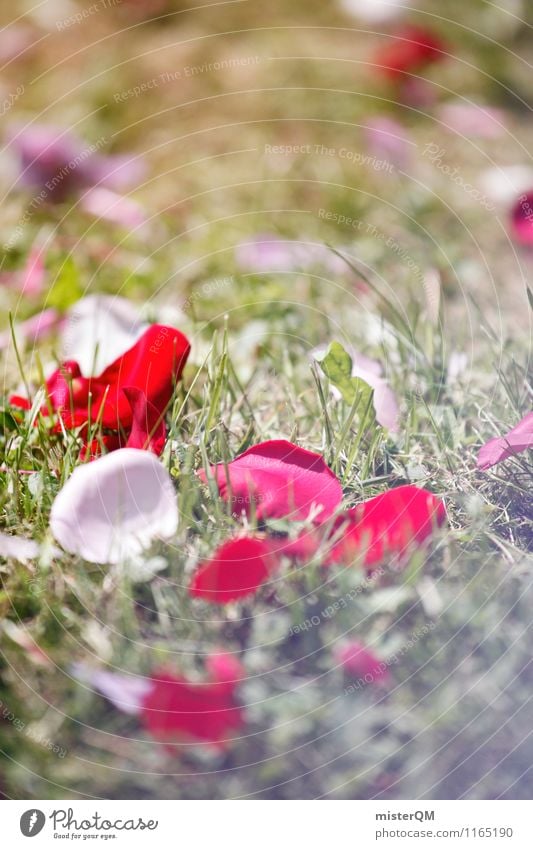 Streuwahn III Kunst ästhetisch Hochzeit Hochzeitszeremonie Hochzeitsgesellschaft Blume Blütenblatt Wiese Zeremonie Farbfoto Gedeckte Farben Innenaufnahme