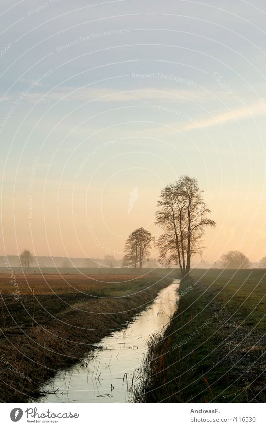 Morgengrauen Morgennebel Sonnenaufgang Bach kalt Herbst Oktober November Dezember Winter Nebel Nebelstimmung Baum Wiese Tau diagonal gefroren Landschaft