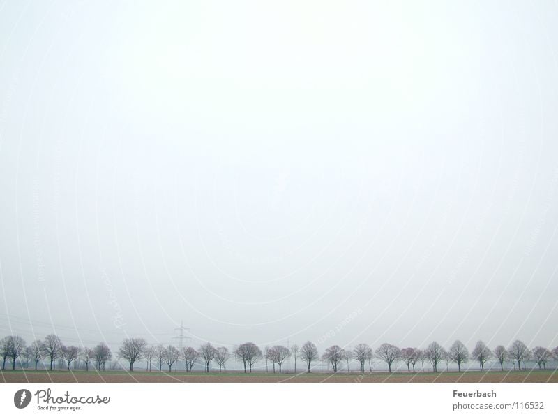 Winterallee_2 Schnee Himmel Horizont Nebel Eis Frost Baum Stadtrand Verkehrswege Straße Allee kalt trist Einsamkeit Niederrhein dunstig Landschaft Farbfoto