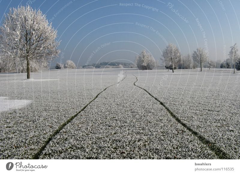 frostige Spur kalt Winter Raureif Einsamkeit weiß schön Baum Ravensburg Strukturen & Formen Schnee Eis Spuren laufen Landschaft Himmel Frost