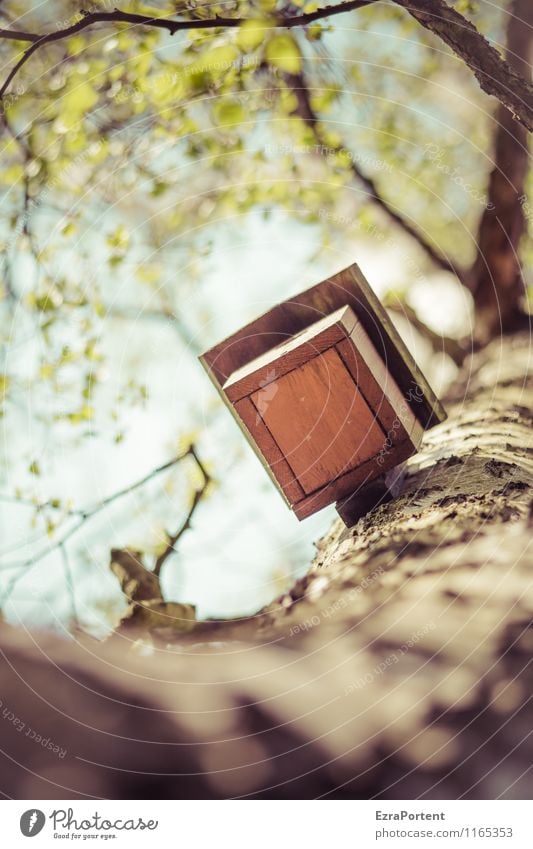 nicht vor Waschbären sicher! Umwelt Natur Pflanze Luft Himmel Frühling Sommer Klima Baum Blatt Garten Park Wald Haus Einfamilienhaus Bauwerk Gebäude Architektur