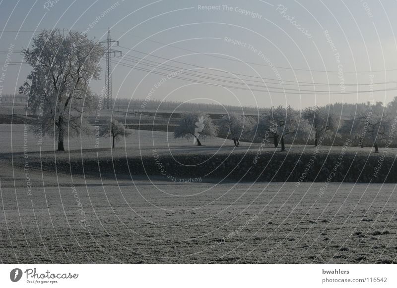 vereistes Land kalt Winter Raureif weiß schön Baum Ravensburg Strukturen & Formen Schnee Eis Schatten Landschaft Himmel Frost