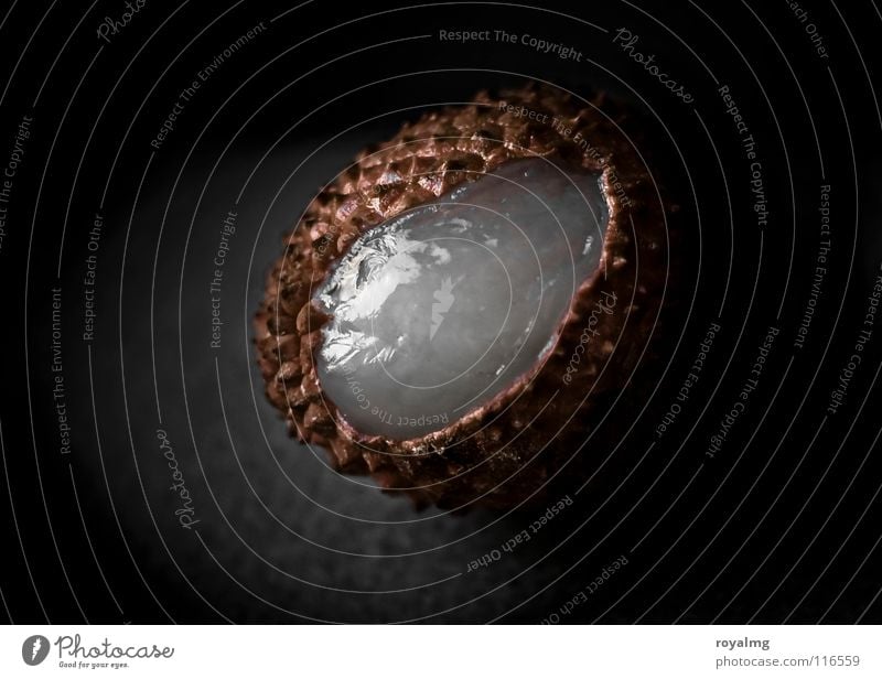 aufbruch - litschi III Lychee Vergänglichkeit braun schwarz violett Vitamin Ernährung Patina Fruchtfleisch aufgebrochen Schalen & Schüsseln Lebensmittel Hülle