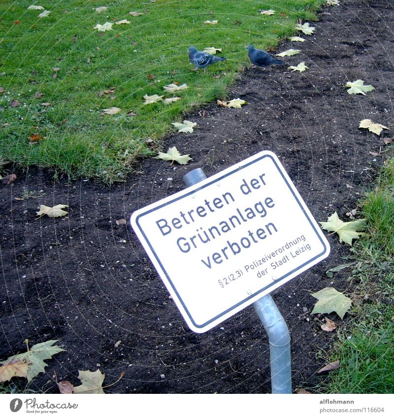 Kriminell Taube Verbote Gras Park Kriminalität Rasen Schilder & Markierungen