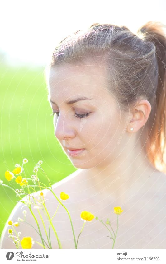 yellow feminin Junge Frau Jugendliche 1 Mensch 18-30 Jahre Erwachsene Frühling Sommer Pflanze Blume schön gelb grün Pferdeschwanz natürlich Farbfoto