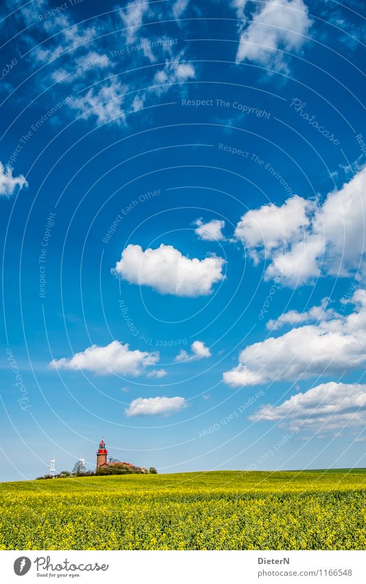 Blau / Gelb / Weiß Umwelt Landschaft Himmel Wolken Frühling Schönes Wetter Feld Leuchtturm blau gelb weiß Kühlungsborn Mecklenburg-Vorpommern Raps Rapsfeld