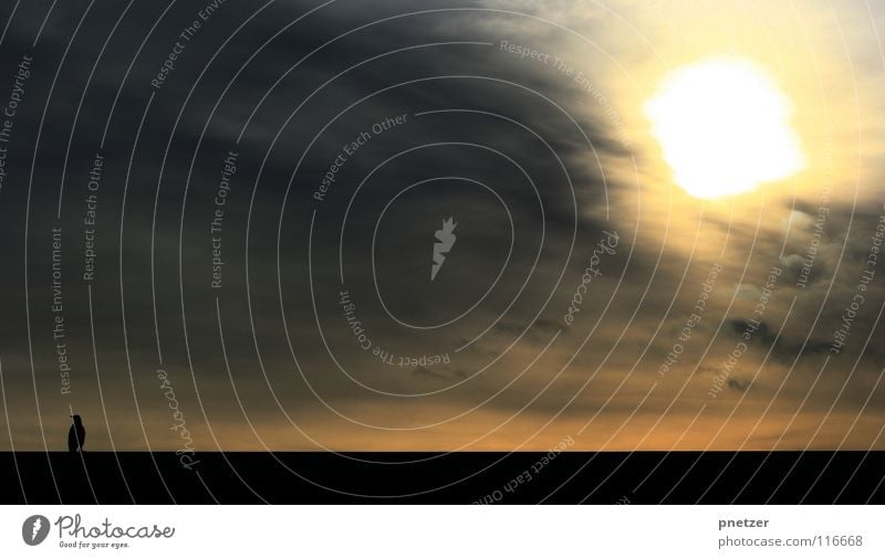 Krähe Vogel Wolken schwarz unheimlich Angst Panik Winter Himmel Sonne Silhouette Sonnenuntergang