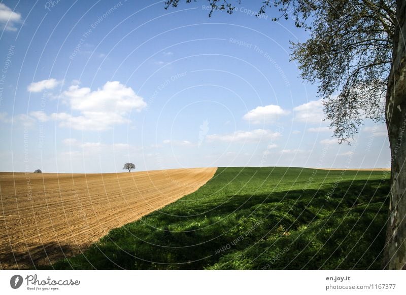 jwd Ferien & Urlaub & Reisen Ferne Sommer Sommerurlaub Landwirtschaft Forstwirtschaft Umwelt Natur Landschaft Pflanze Himmel Wolken Horizont Sonnenlicht