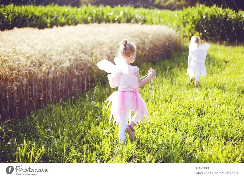 feensommer ii Mensch feminin Kind Mädchen Geschwister Schwester Kindheit 2 3-8 Jahre Umwelt Natur Landschaft Sonnenlicht Sommer Schönes Wetter Wiese Feld