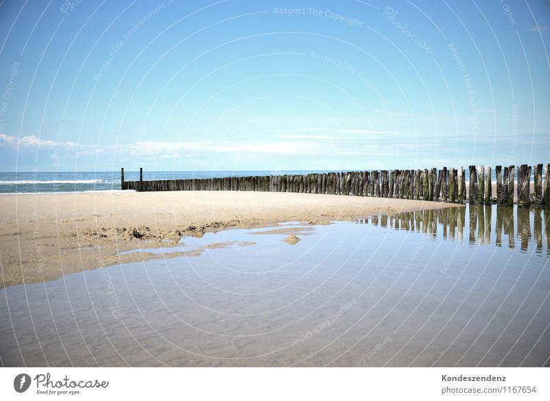 Buhnen Freude Fitness Erholung ruhig Schwimmen & Baden Angeln Sommer Sommerurlaub Sonne Strand Meer Wellen Urelemente Wasser Himmel Wolkenloser Himmel Küste