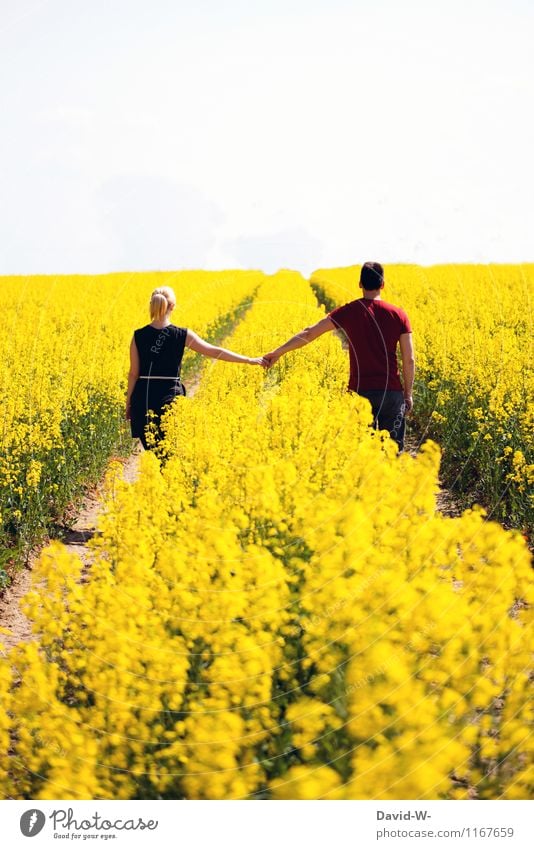 zusammen Mensch maskulin feminin Junge Frau Jugendliche Junger Mann Erwachsene Leben Rücken 2 Kunst Umwelt Natur Landschaft Pflanze Sommer Klima Wetter