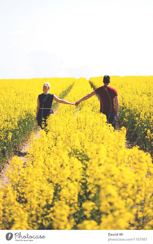 kein ende in sicht Mensch maskulin feminin Junge Frau Jugendliche Junger Mann Erwachsene Freundschaft Paar Partner Leben 2 Umwelt Natur Landschaft