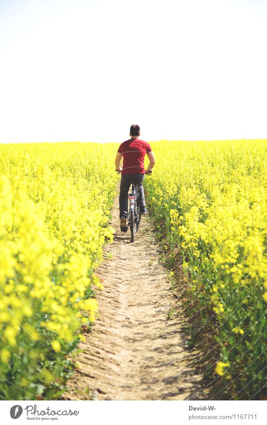 querfeldein Freizeit & Hobby Ferien & Urlaub & Reisen Ausflug Mensch maskulin Junger Mann Jugendliche Erwachsene Leben 1 Umwelt Natur Landschaft Pflanze Luft