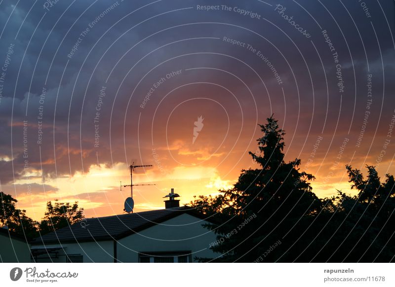 Farbenspiel Sonnenuntergang Haus Dach Baum Verlauf dramatisch Silhouette