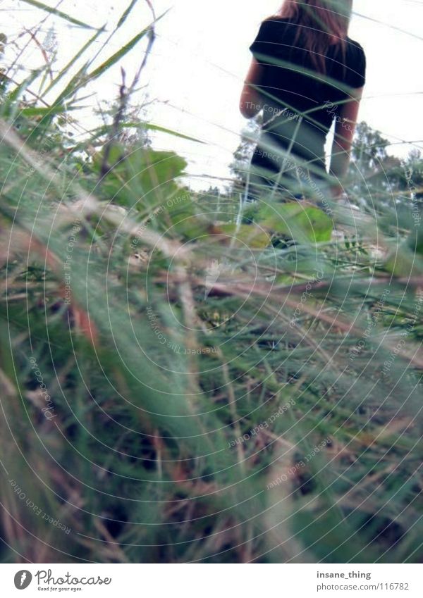 haunted. Gras schwarz verloren Einsamkeit Feld Wiese Angst Panik