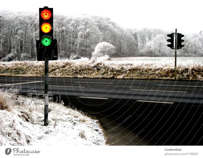 AMPEL rot gelb grün Ampel Winter Wald mehrfarbig Verkehr verrückt orange Schnee Straße Raureif Kontrast Landschaft verrückte lustig amp