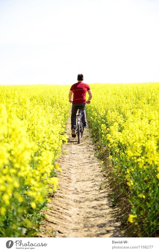 Der Weg in Paradies Gesundheit Ferien & Urlaub & Reisen Tourismus Ausflug Abenteuer Mensch maskulin Junger Mann Jugendliche Erwachsene Leben Umwelt Natur