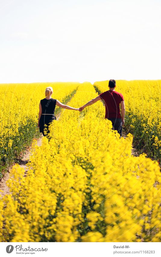 Sommerromantik Mensch maskulin feminin Junge Frau Jugendliche Junger Mann Paar Partner Leben 2 Umwelt Natur Landschaft Schönes Wetter Feld Wege & Pfade berühren