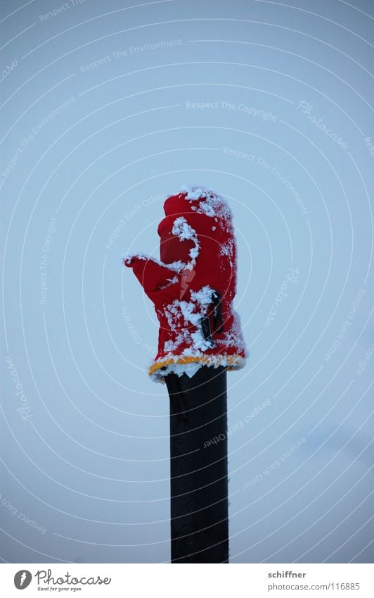 Huhu! Handschuhe vergessen verloren Einsamkeit finden winken Begrüßung obskur Fäustling Schnee Eis Pfosten aufgespiest gepflockt Finder Finderlohn Einzelkämpfer