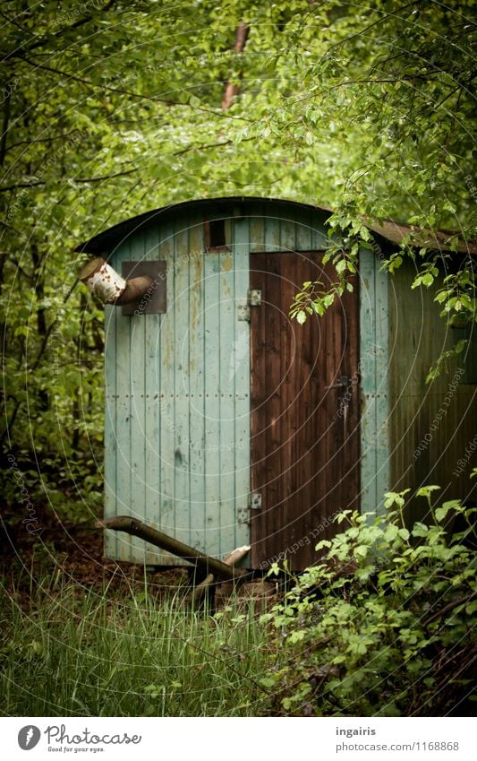 Wer da wohl wohnt... Natur Landschaft Blätterdach Wald Haus Hütte Bauwagen Wohnwagen Tür Holz entdecken stehen alt außergewöhnlich einfach wild blau braun grün