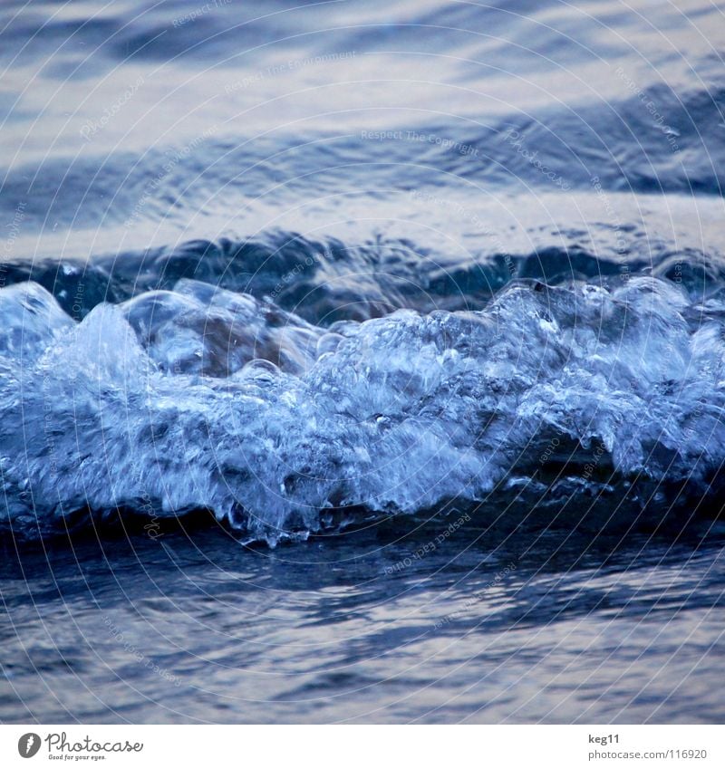 wasserwelle ... Wellen Meer Strand Elba Ferien & Urlaub & Reisen Sardinien Italien Küste Gezeiten Wasseroberfläche Wellengang Brandung Wellenlänge Fisch Natur