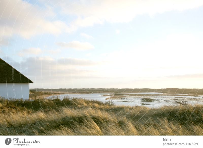 Die weiteren Aussichten: schön. Umwelt Natur Landschaft Wasser Himmel Horizont Gras Küste Moor Sumpf Teich See Biotop Binnensee Haus Unendlichkeit natürlich