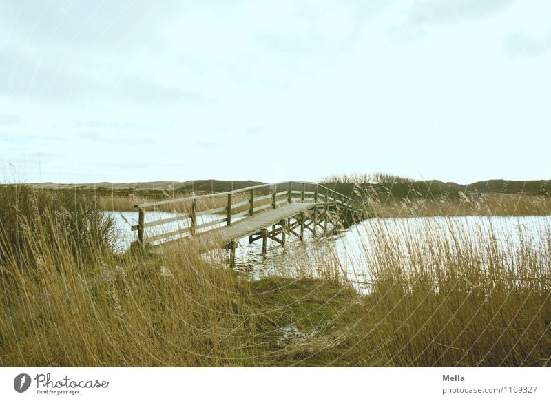 Einer geht zuerst Umwelt Natur Landschaft Wasser Himmel Gras Küste Seeufer Flussufer Verkehrswege Wege & Pfade Brücke Brückenkonstruktion einfach Beginn