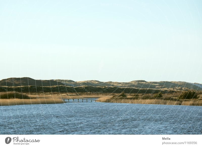 Übergang Umwelt Natur Landschaft Wellen Küste Seeufer Biotop Düne Schilfrohr Brücke natürlich Einsamkeit Idylle Pause ruhig Wege & Pfade Ferne Farbfoto