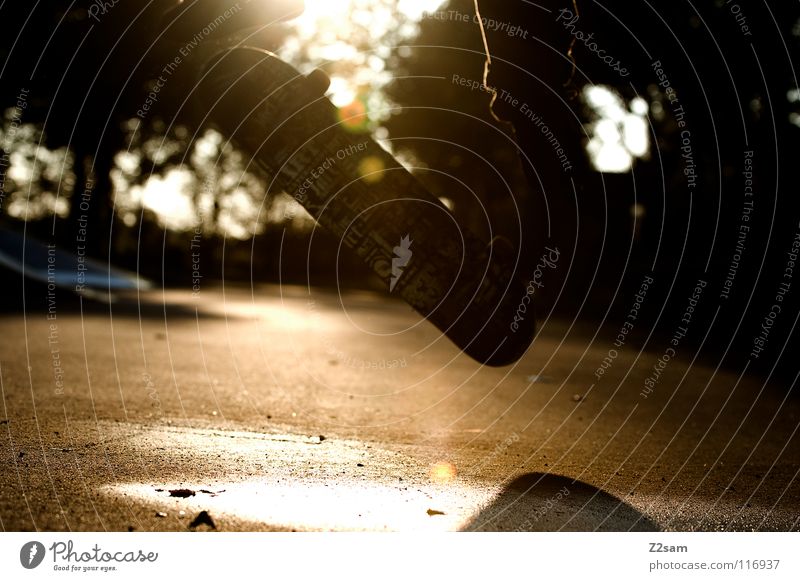 sunshine flip Salto Kickflip Heelflip Teer Beton Sport Physik Pfütze nass Park Skateboarding Sportpark springen hüpfen Aktion drehen Baum Mitte Stil lässig