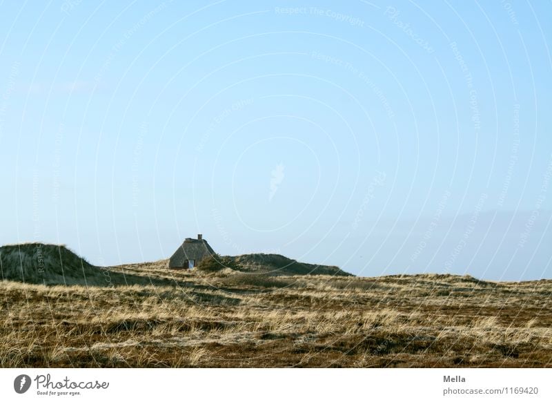 fernnah Wohnung Haus Umwelt Natur Landschaft Himmel Wolkenloser Himmel Gras Wiese Düne Dünengras Hütte einfach Ferne klein Stimmung Schutz Geborgenheit