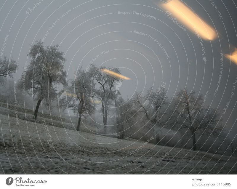 Bahnfahrt Eisenbahn fahren Winter trist Ödland Schnee Nebel Bahnfahren Licht Reflexion & Spiegelung Beleuchtung kalt Baum Feld ländlich Schweiz grau Schnellzug